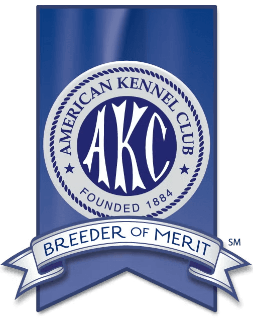 AKC Breeder of Merit