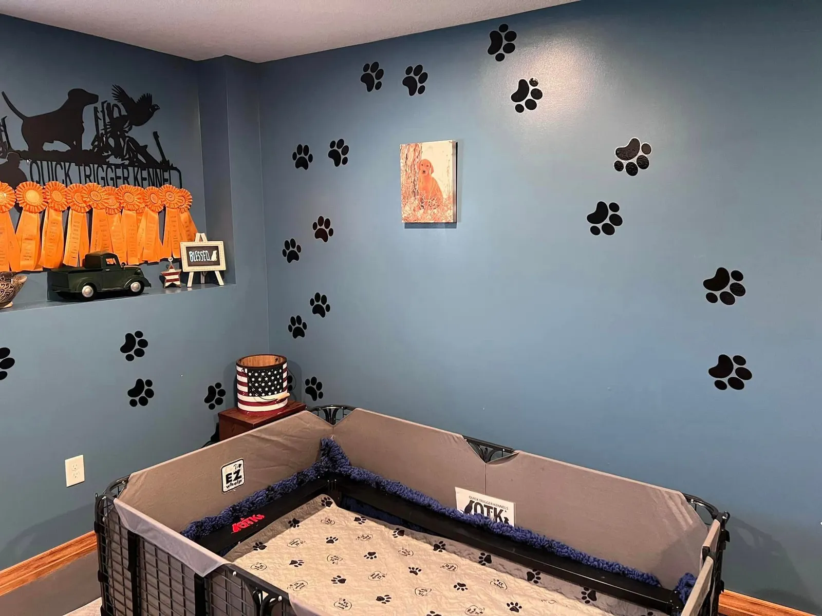 Quick Trigger Kennels photo 120