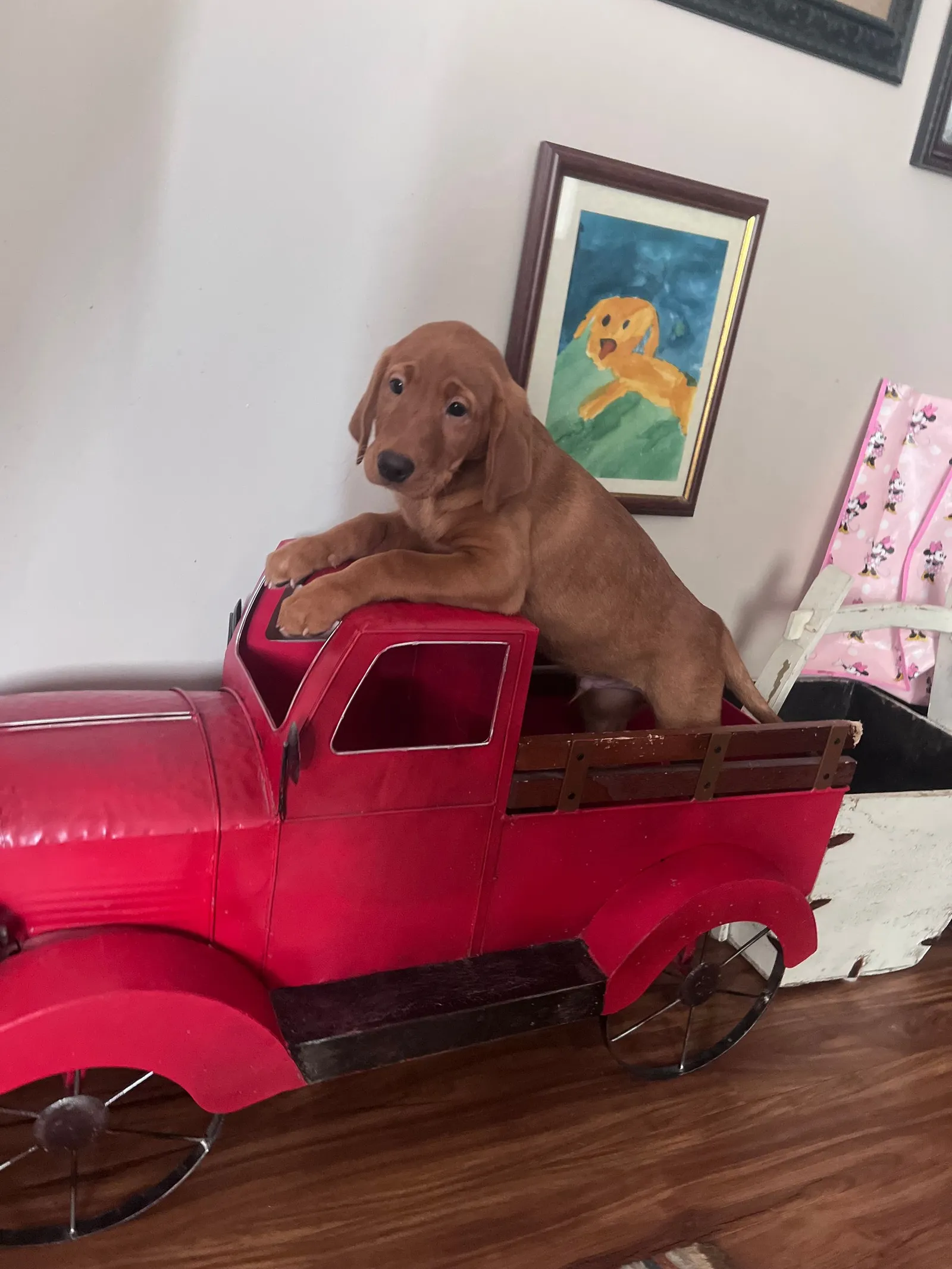 Quick Trigger Kennels photo 123