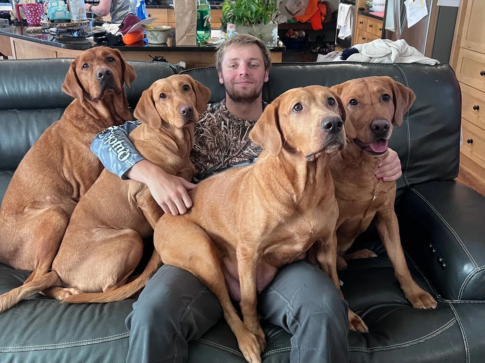 Quick Trigger Kennels photo 125