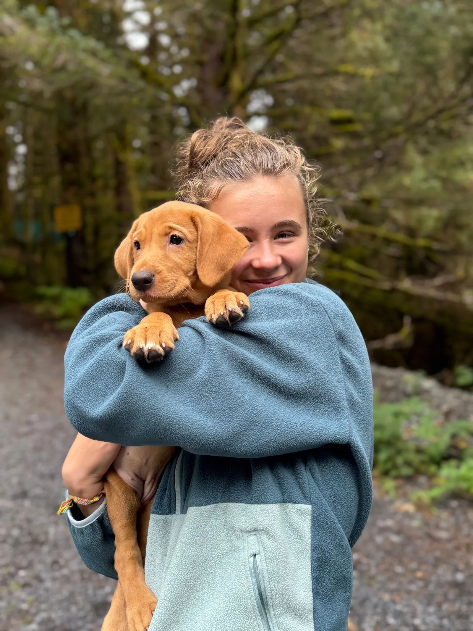 Quick Trigger Kennels photo 128