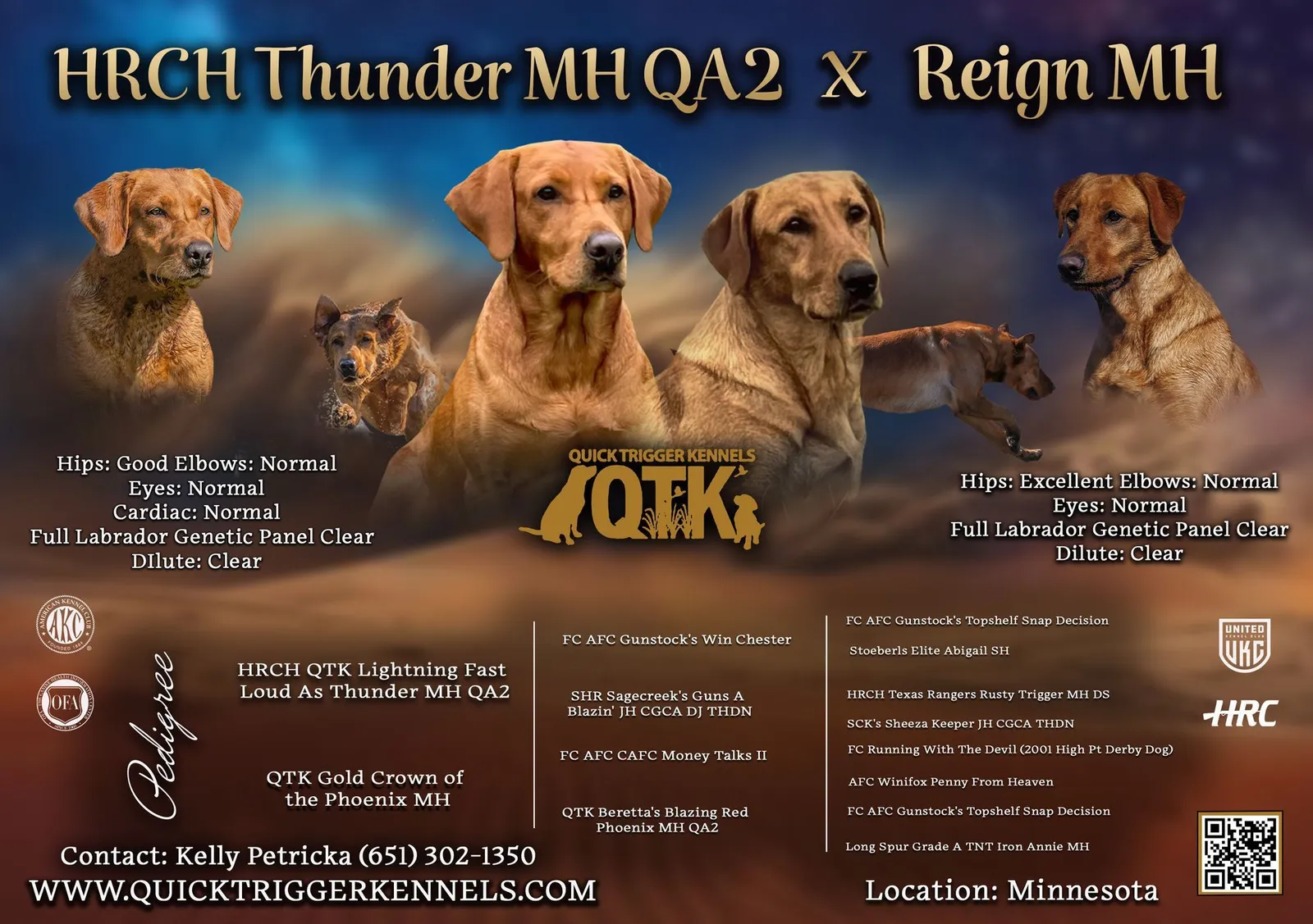 Quick Trigger Kennels litter announcement 4