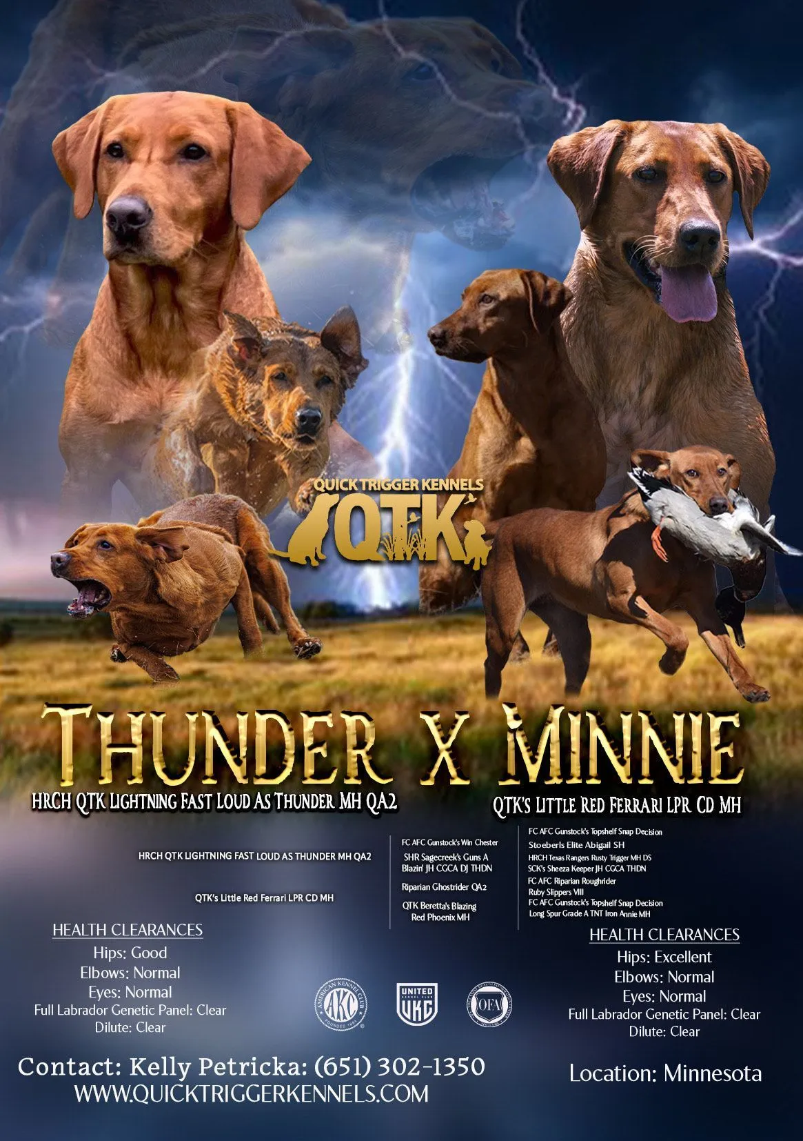 Quick Trigger Kennels litter announcement 3