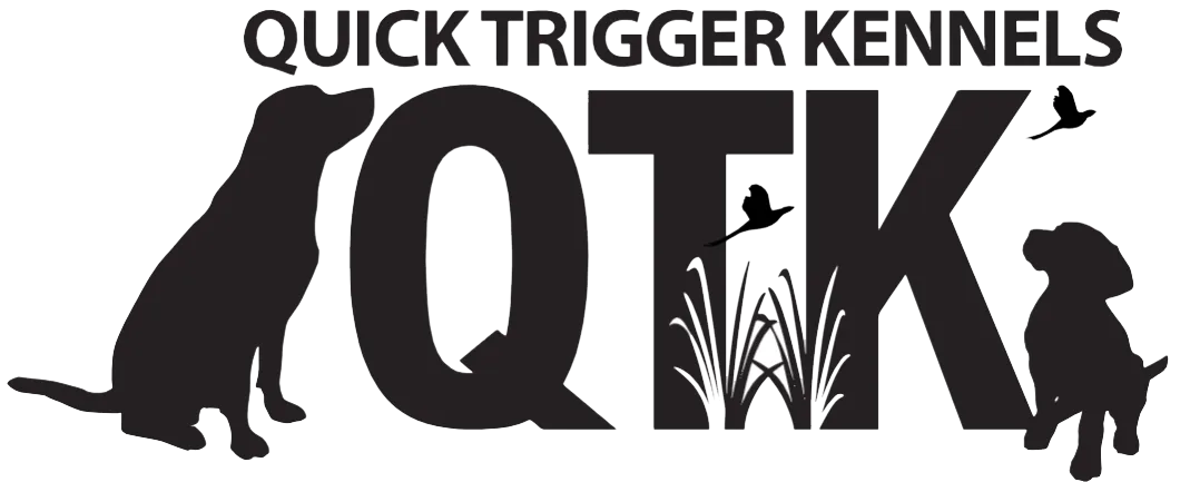 Quick Trigger Kennels upcoming litter announcement 1