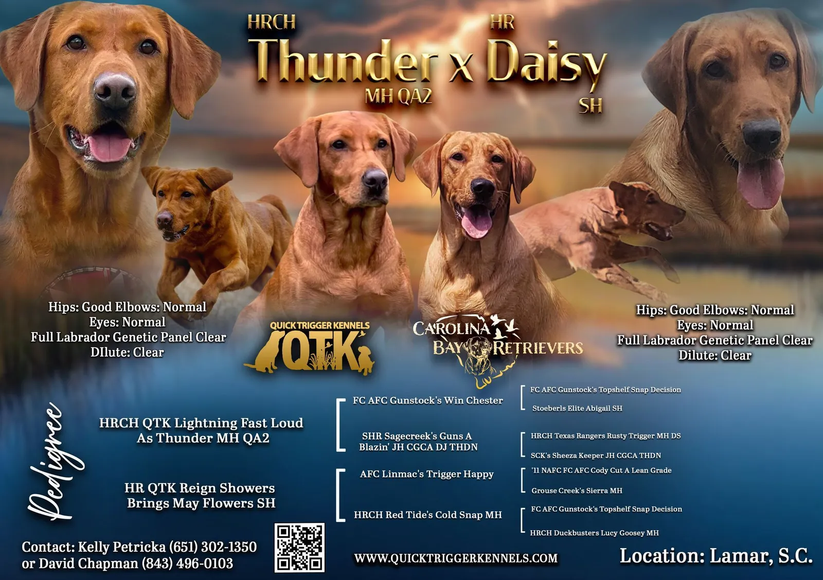 Quick Trigger Kennels upcoming litter announcement 5