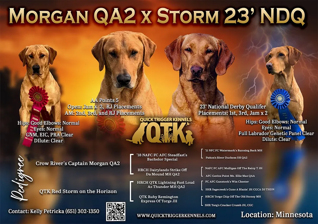 Quick Trigger Kennels upcoming litter announcement 6