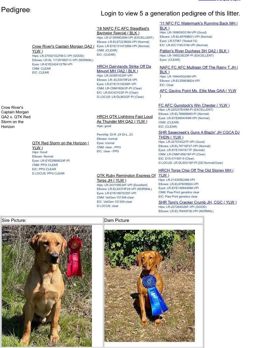 Quick Trigger Kennels upcoming litter announcement 8